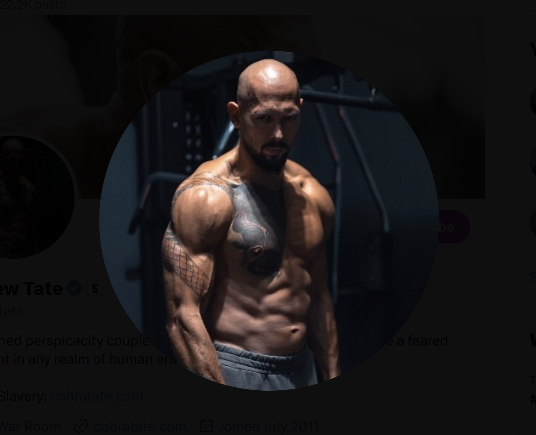 Andrew Tate La Strada International x profile pic